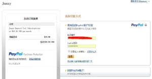 paypal官方网站支付页面