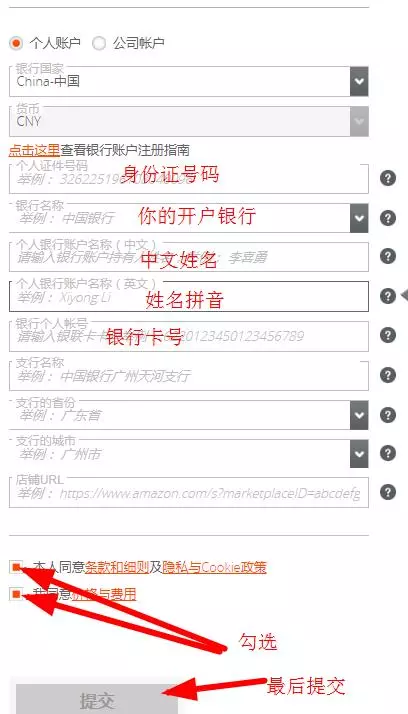 派安盈Payoneer账户注册第四步-提交