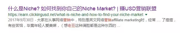 赚USD营销联盟抄袭老豆谷歌搜索结果