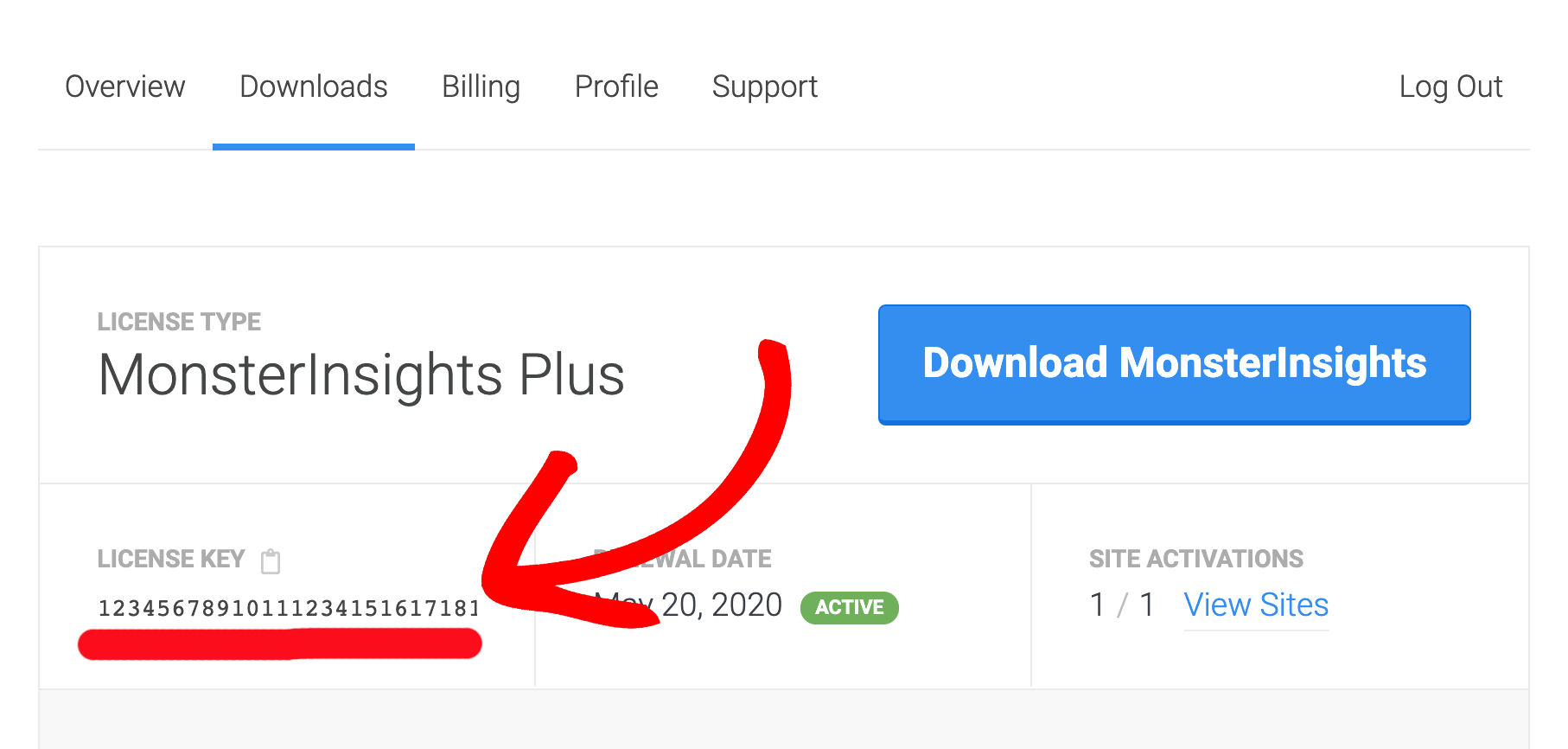 monsterinsights许可密钥