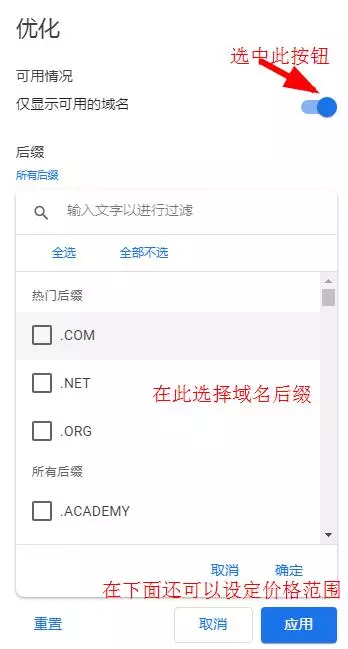 google domains域名搜索设置