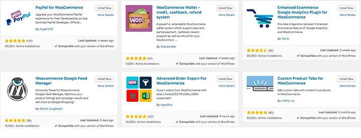 WooCommerce 是一个电子商务插件，也适用于许多支付选项