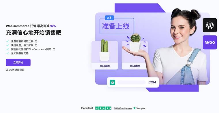 Hostinger WooCommerce 计划